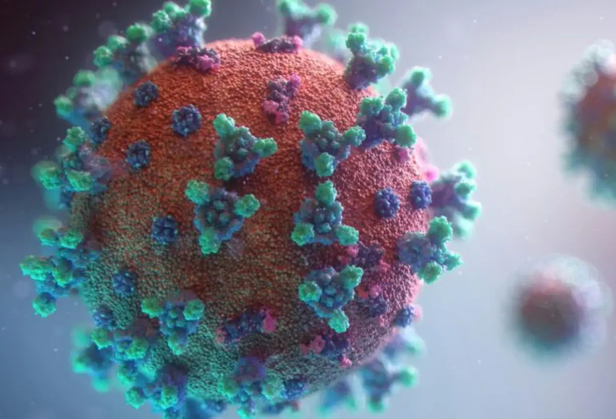 Nova subvariante ‘Cicada’ da Covid-19 surge com 75 mutações; veja o que já se sabe