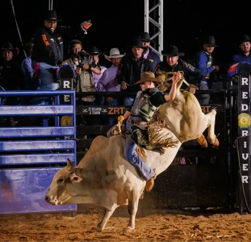 Pecuária de Goiânia terá rodeio em 2026, após hiato de 10 anos; veja programação