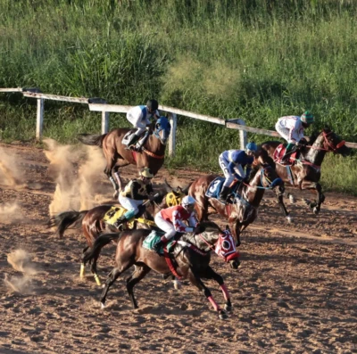 Goiânia recebe corridas de cavalos no Hipódromo da Lagoinha