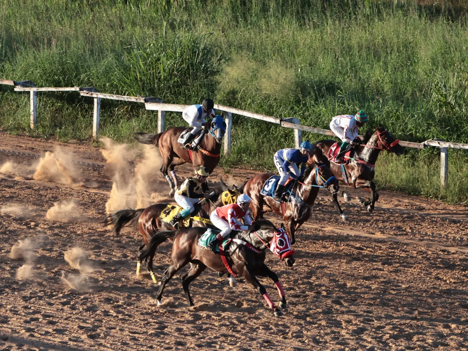 Goiânia recebe corridas de cavalos no Hipódromo da Lagoinha