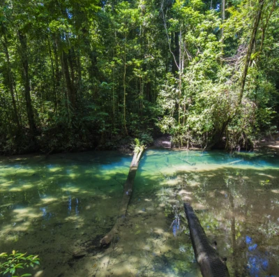 Malásia reúne florestas de 130 milhões de anos e ecoturismo entre os mais preservados do mundo