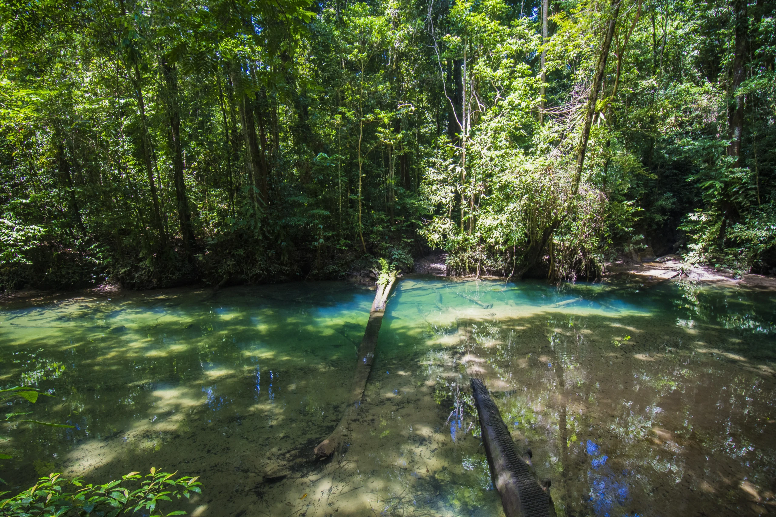 Malásia reúne florestas de 130 milhões de anos e ecoturismo entre os mais preservados do mundo