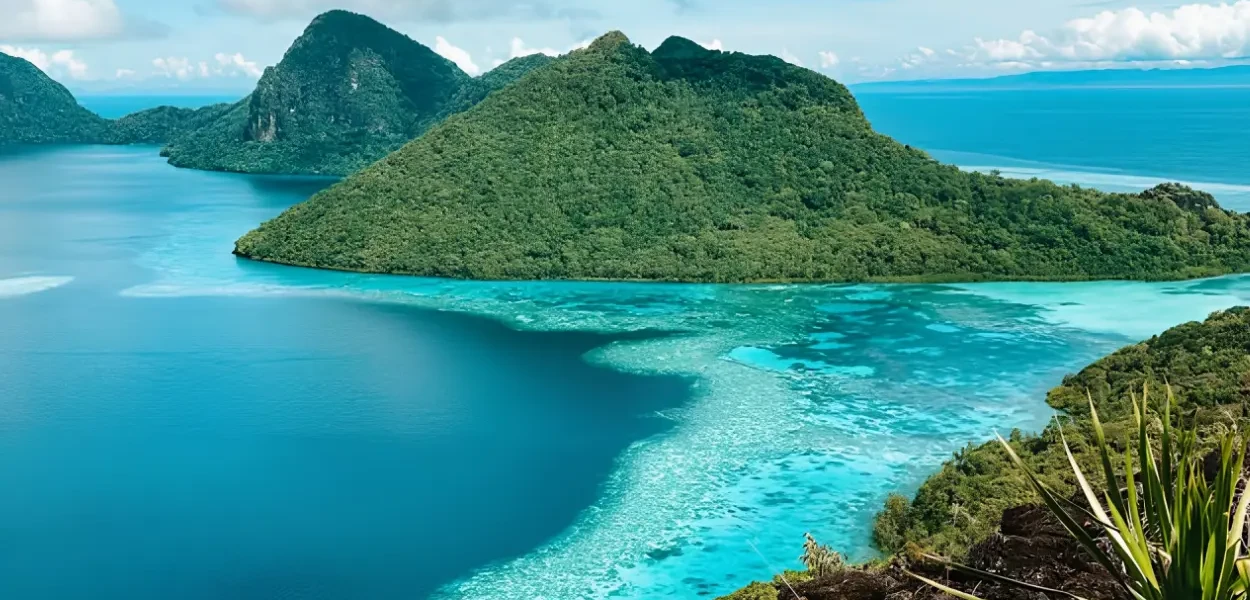 O que faz da ilha de Bornéu um dos maiores santuários naturais do planeta
