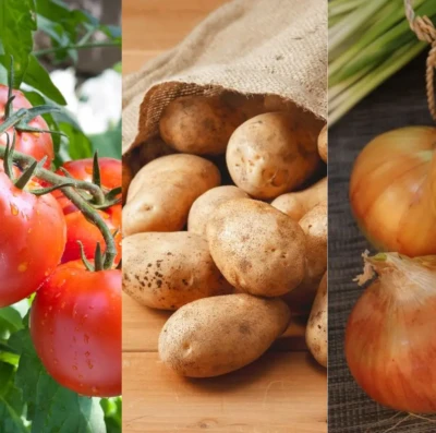 10 alimentos que você não precisa guardar na geladeira; veja como conservar