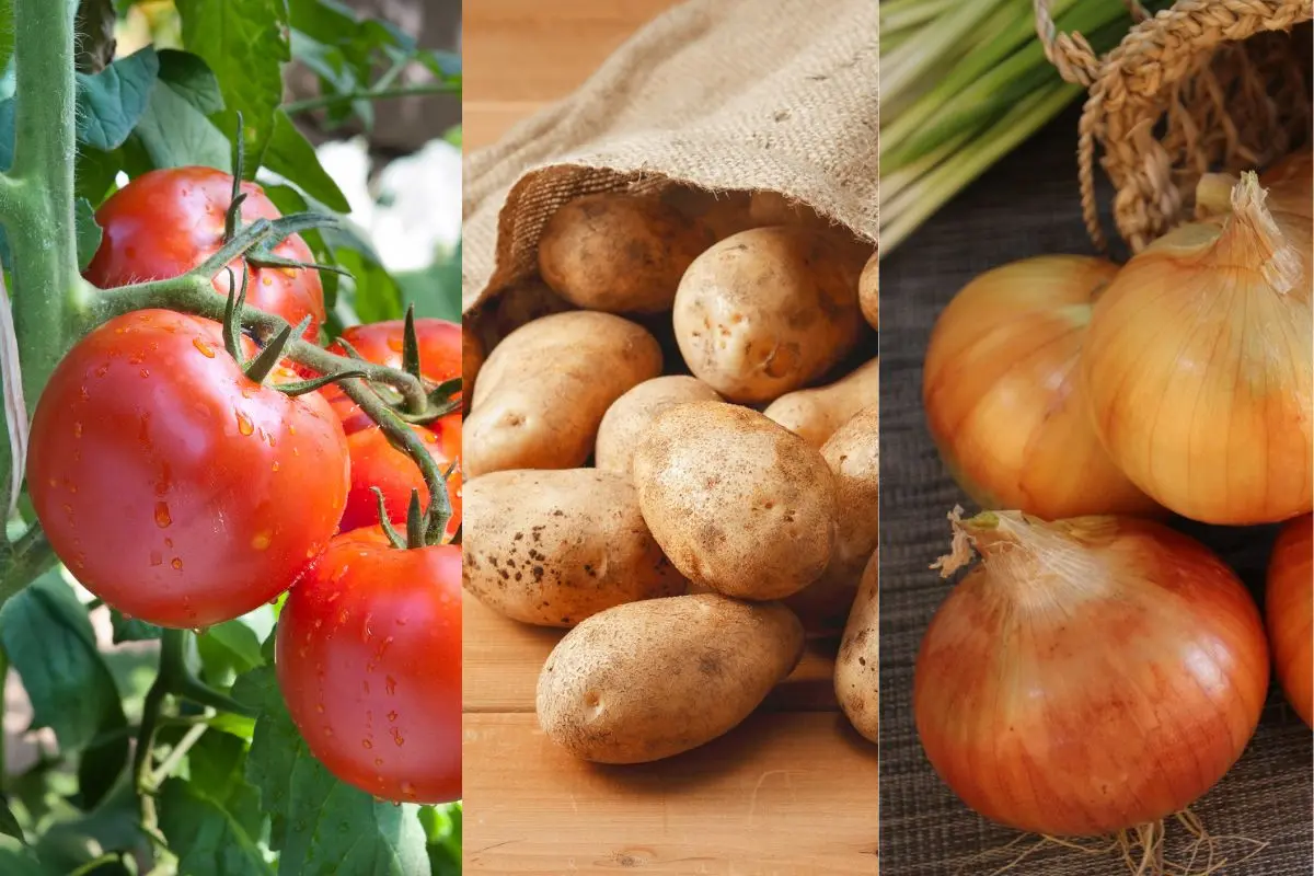 10 alimentos que você não precisa guardar na geladeira; saiba como conservar