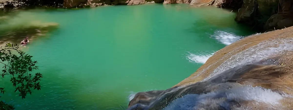 Bisnau Ecoturismo formosa