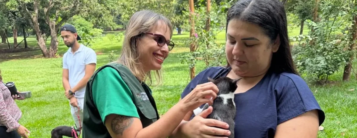 Prefeitura de Goiânia abre 1,5 mil vagas para castração gratuita de cães e gatos; veja como participar (1)