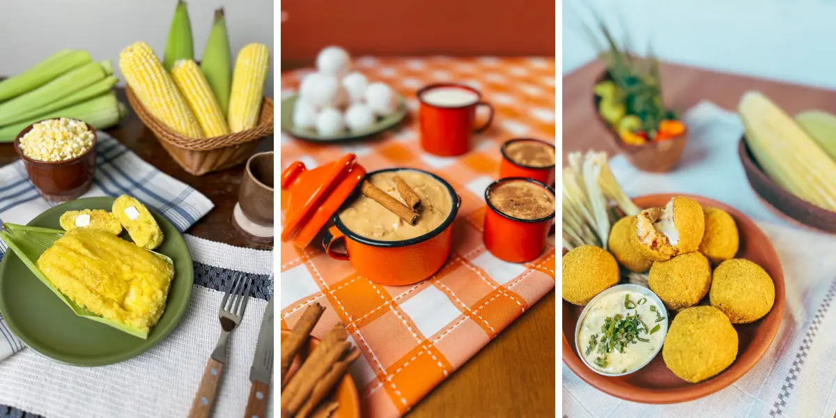 Receita Raiz Equatorial Goiás lança livro gratuito de receitas e histórias de Goiás
