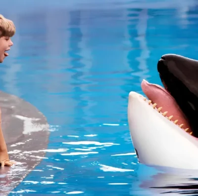 Remake-de-Free-Willy-e-confirmado-pela-Warner-Bros.-apos-mais-de-30-anos