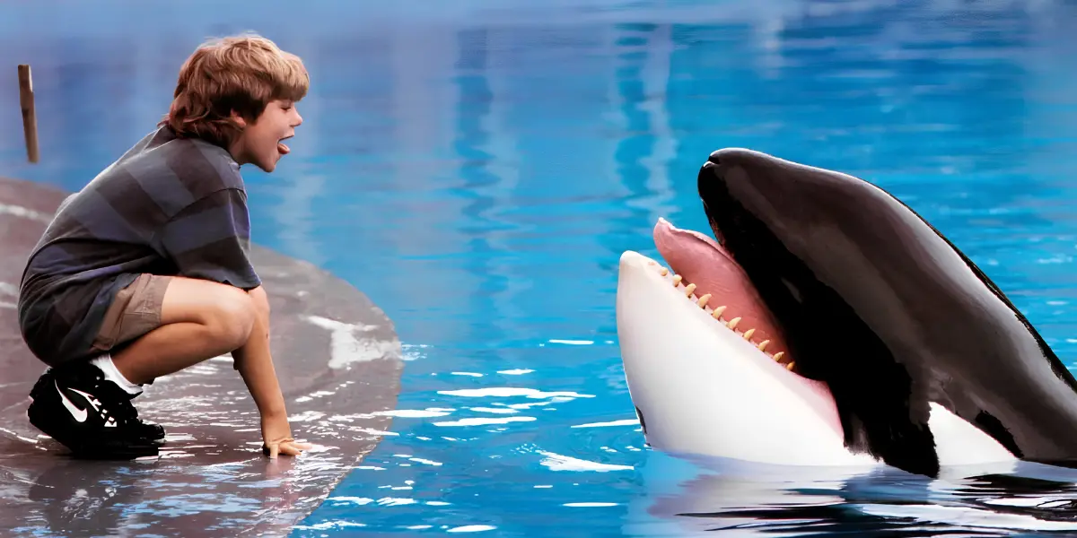 Remake-de-Free-Willy-e-confirmado-pela-Warner-Bros.-apos-mais-de-30-anos