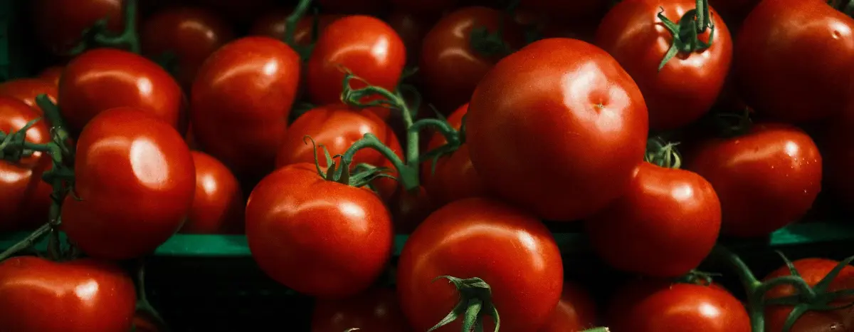 Tomate