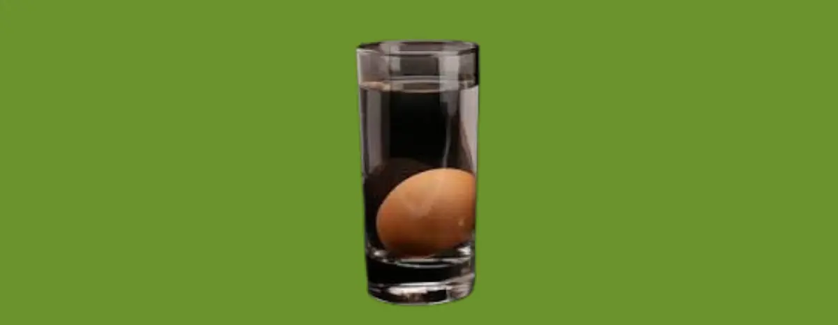 Afundou e ficou totalmente deitado: o ovo está fresco e é ideal para consumo;