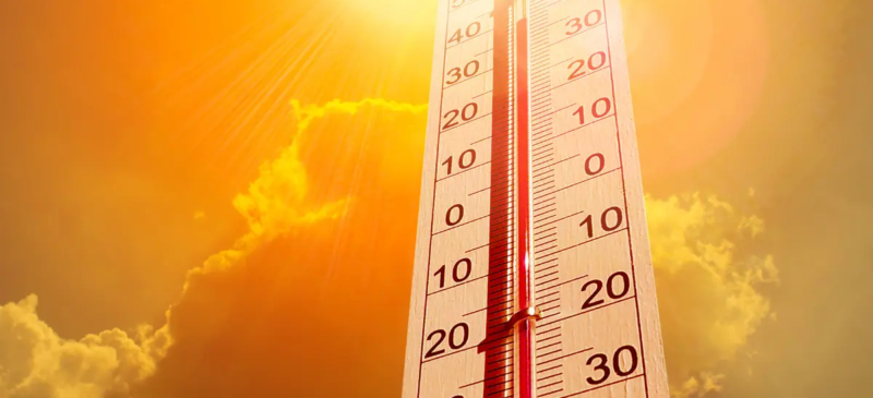 Calor e baixa umidade em Goiás colocam 95 municípios sob risco de incêndios