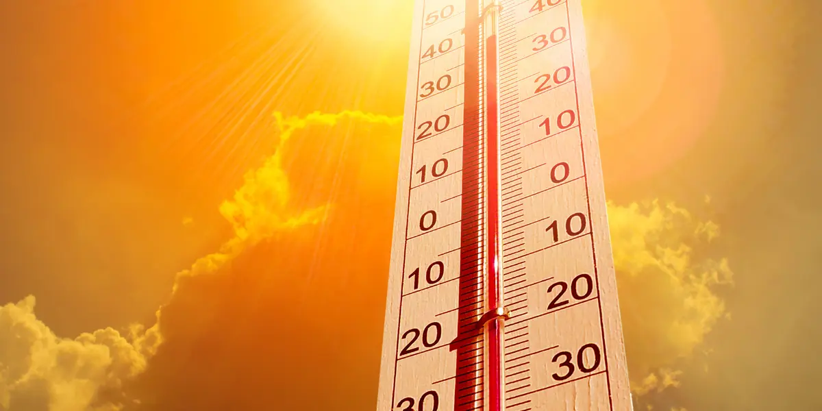 Calor e baixa umidade em Goiás colocam 95 municípios sob risco de incêndios