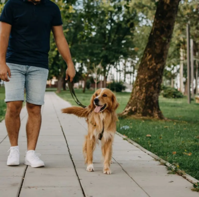 Caminhada Pet Brasil reúne tutores e animais em Aparecida de Goiânia