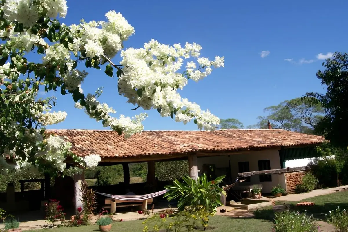 Fazenda Babilônia em Pirenópolis: conheça o local histórico e o famoso café sertanejo