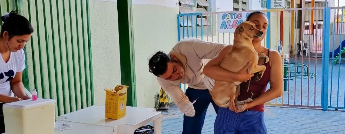 antirrábica na Grande Goiânia