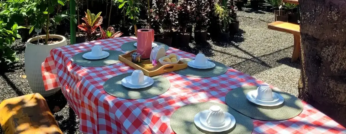café da manhã no Viveiro Tio Zé