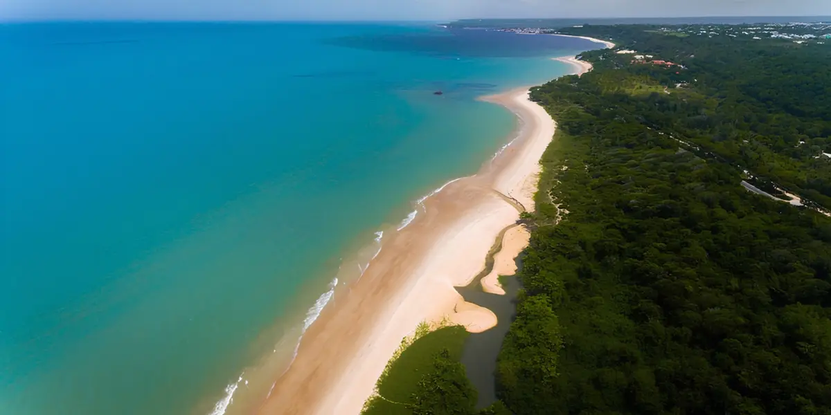 Costa do Descobrimento: como é o turismo nas reservas naturais?