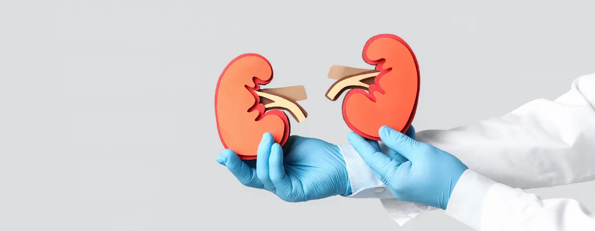 transplante renal em Goiás