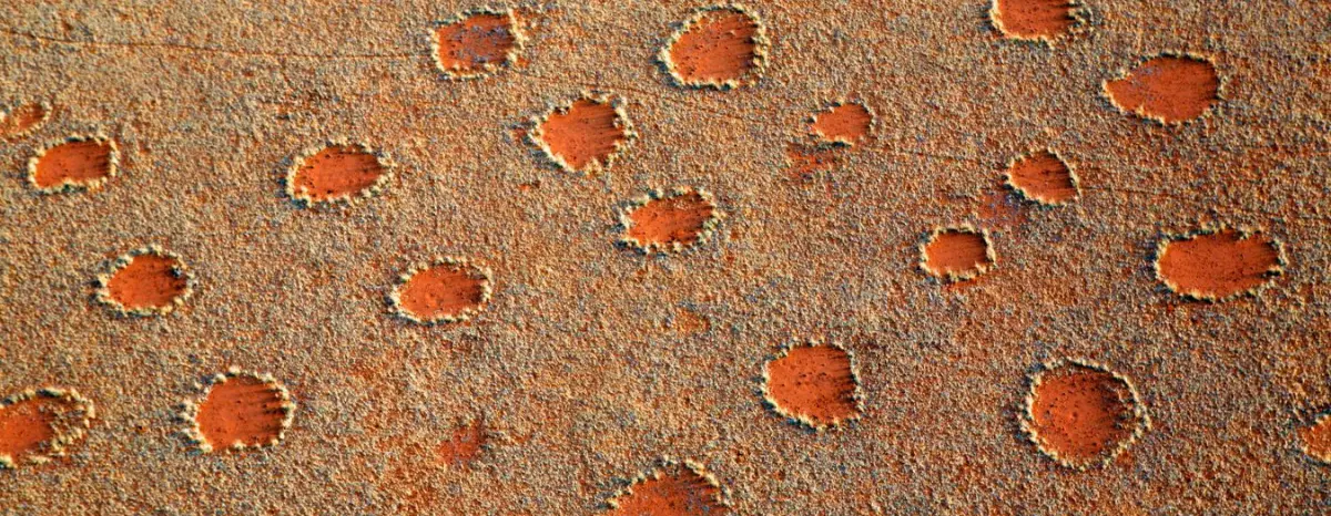 fairy circles