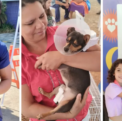 Mutirão de castração gratuita em Goiânia
