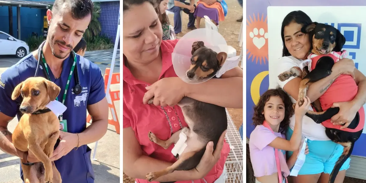 Goiânia terá mutirão de castração gratuita com 120 vagas para cães e gatos; veja inscrições
