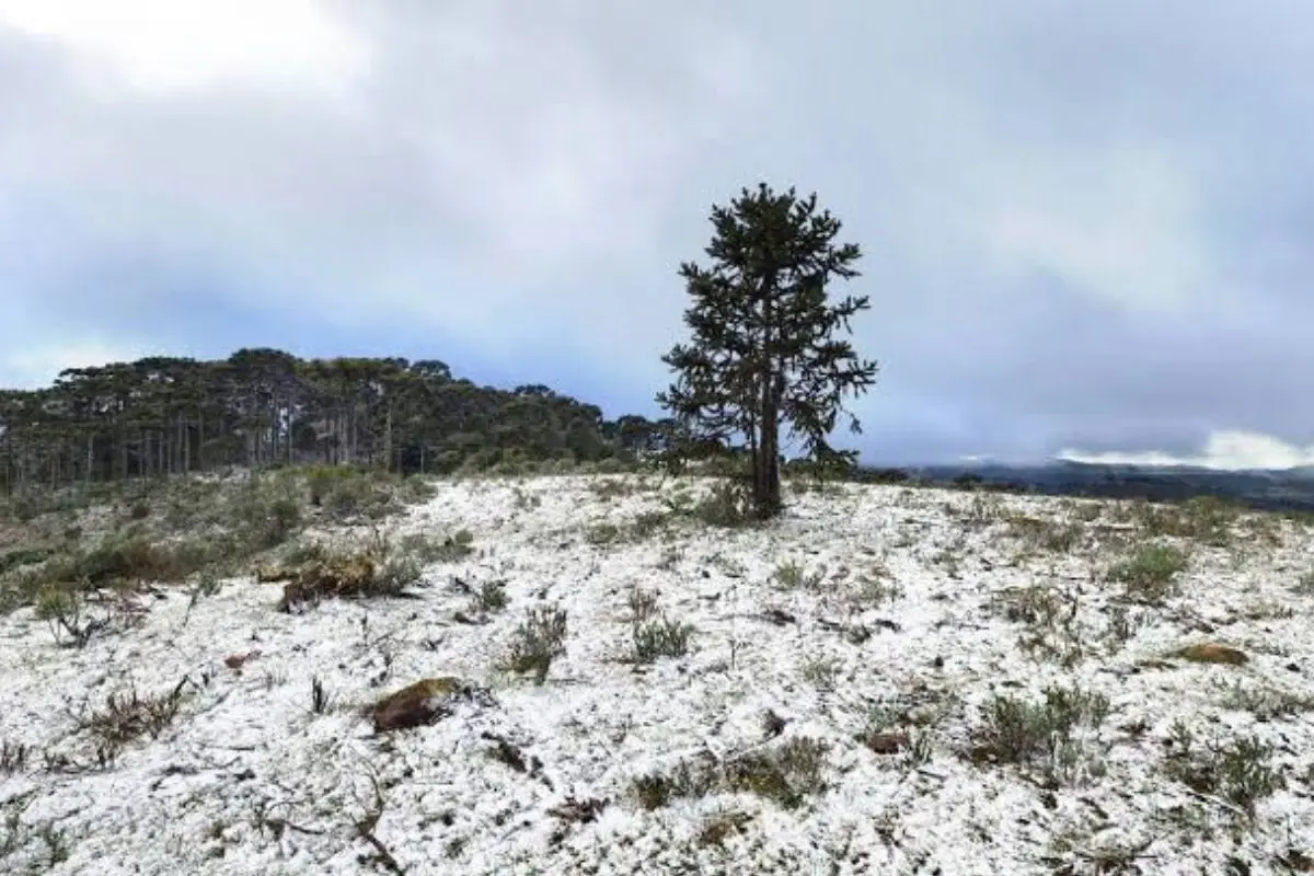 Neve em setembro surpreende o Sul; veja onde ainda pode acontecer em 2026