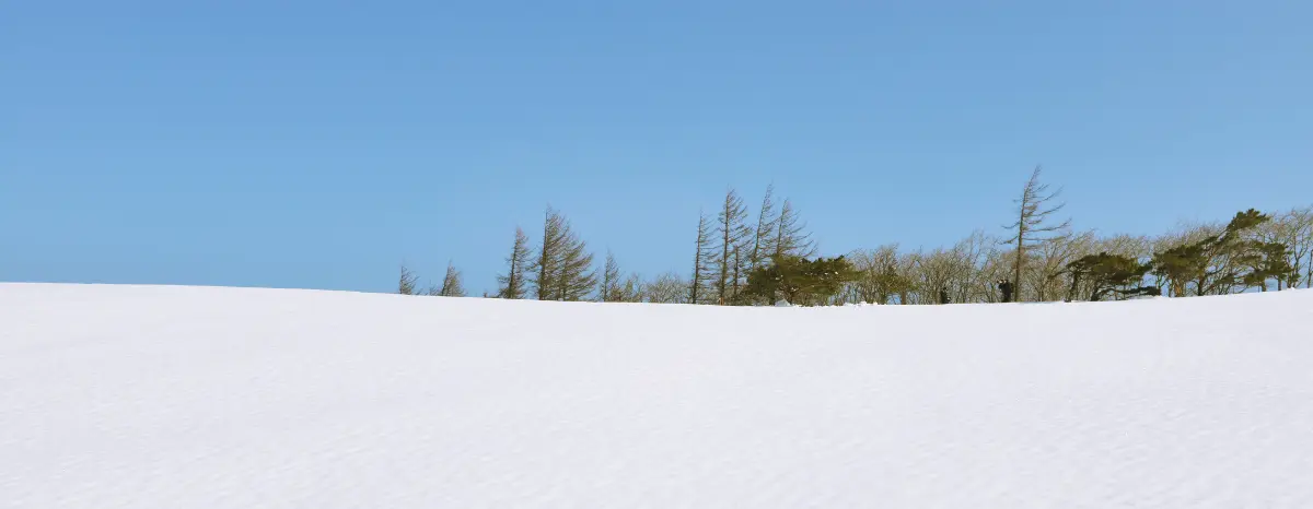 Neve no Brasil em 2026