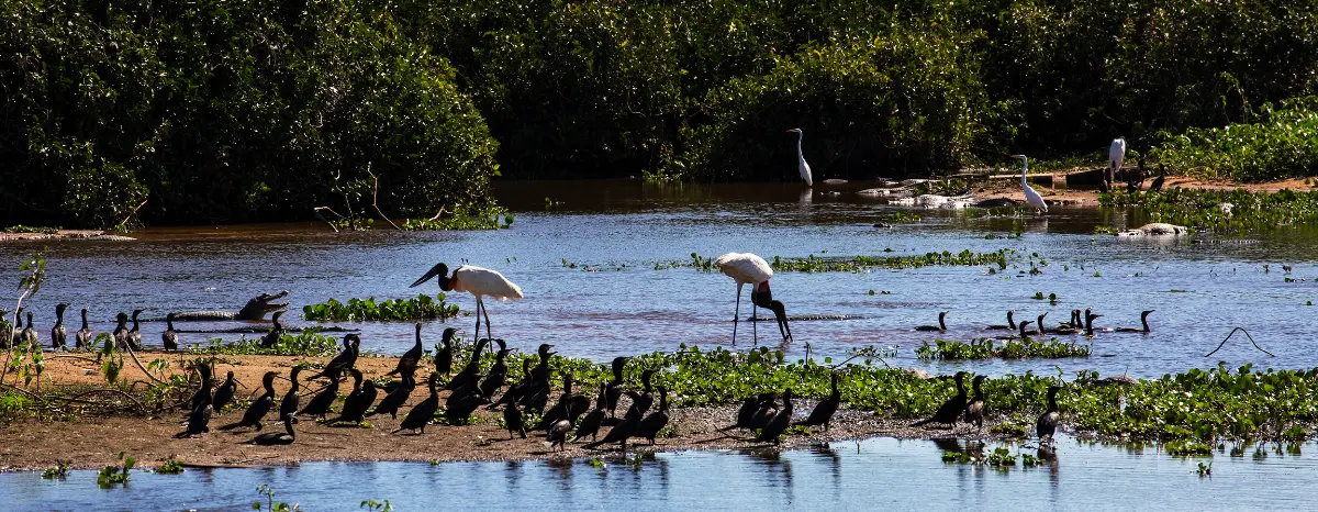  turismo de aventura no Brasil