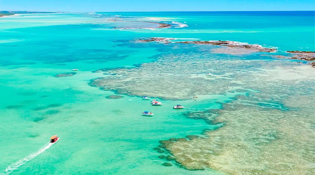 Maragogi 7 destinos no Brasil com águas tão cristalinas que parecem estar no Caribe