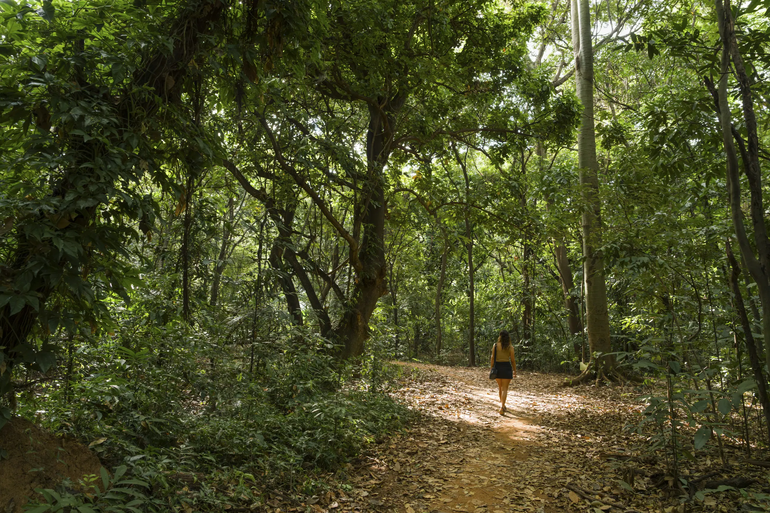 Goiânia é a única cidade brasileira entre 10 destinos em alta para 2027
