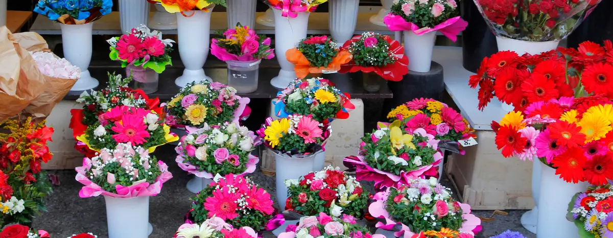 Bazar Estação das Plantas