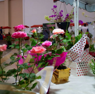 Bazar Estação das Plantas