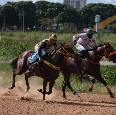 Corridas de cavalos celebram aniversário de Goiânia com entrada gratuita no Hipódromo da Lagoinha