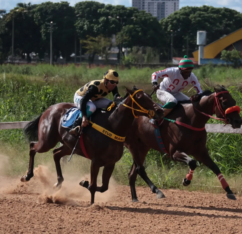 Corridas de cavalos celebram aniversário de Goiânia com entrada gratuita no Hipódromo da Lagoinha