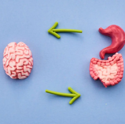 creatina e inflamação intestinal