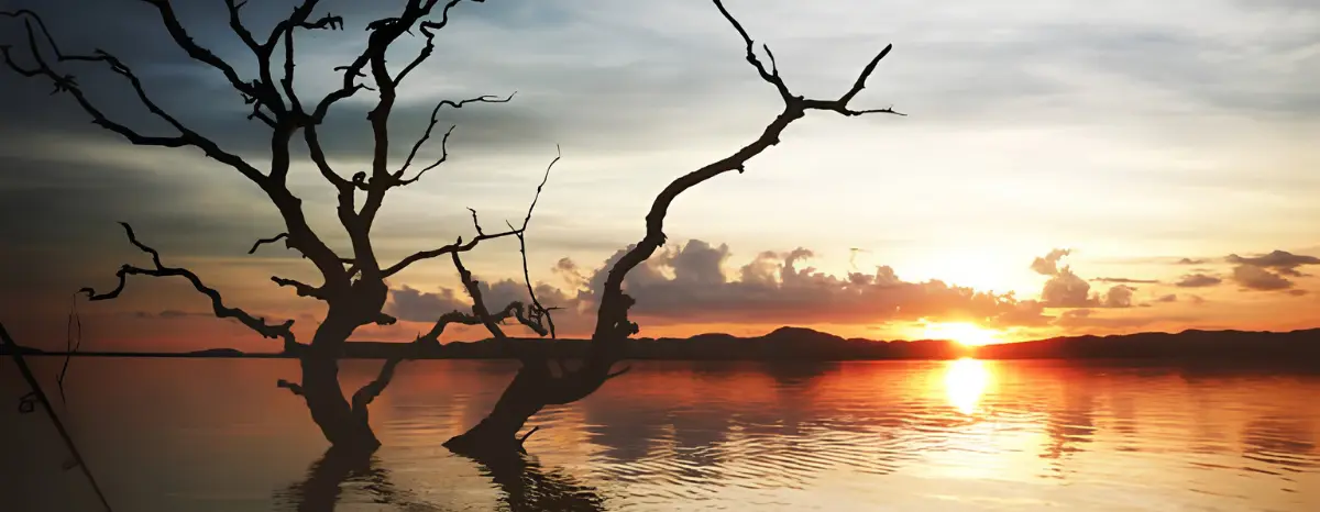 pôr do sol em Goiás