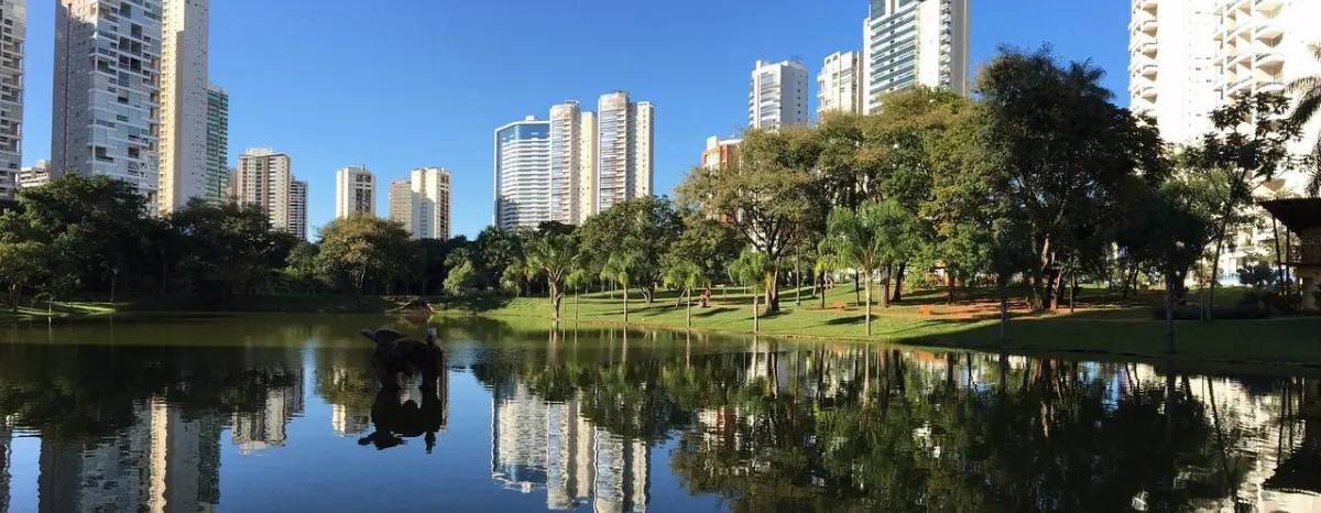 shows gratuitos no Bosque dos Buritis